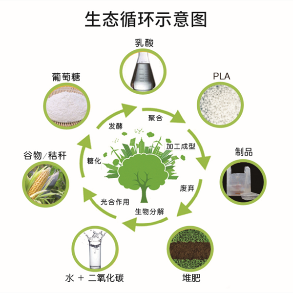 1631082487123307.png 1111111_副本.png