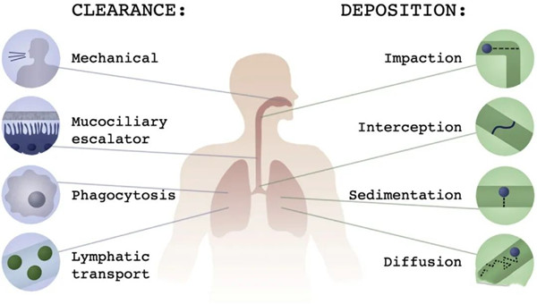 1632965234601242.jpg 2_副本.jpg