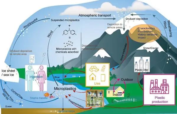 1632965296390489.jpg 3.jpg