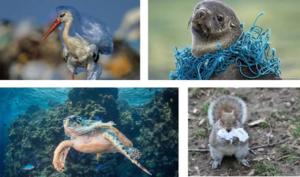 1633660223680054.jpg 8_副本.jpg