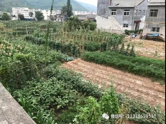 1634007441763791.jpg 39_副本.jpg