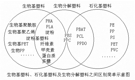 1634109631475389.jpg 21.webp.jpg