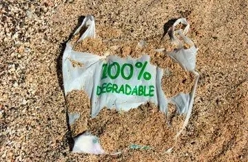 1634109732962083.jpg 22.webp.jpg