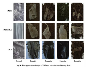 1634109941630879.jpg 24.webp_副本_副本.jpg