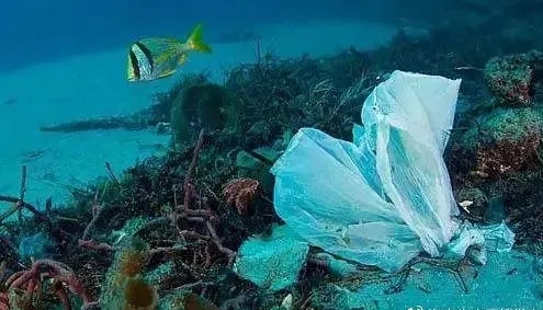 1634111124581088.jpg 29.webp.jpg