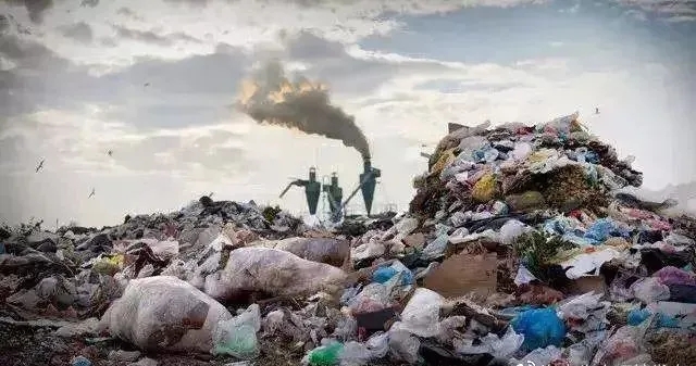 1634111202861896.jpg 30.webp.jpg