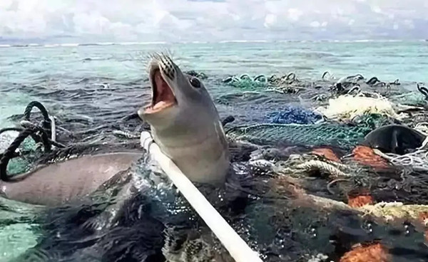 1634111266137076.jpg 35.webp_副本.jpg