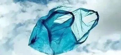 1634111385562142.jpg 39.webp.jpg