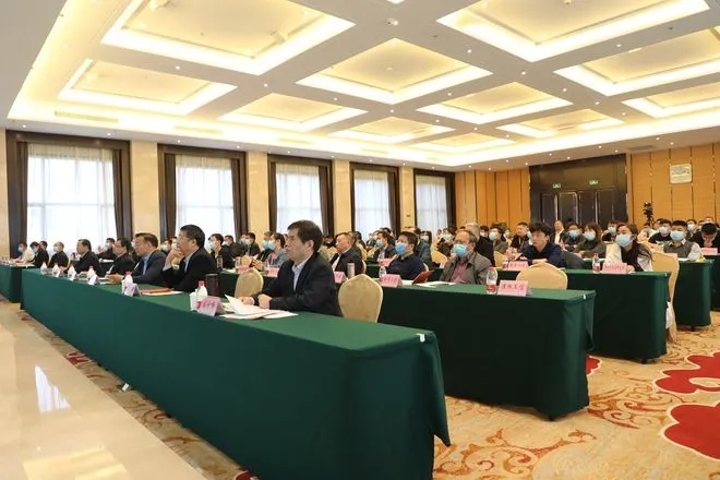 1634176040780328.jpg 9.webp.jpg