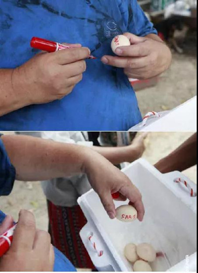 1635748149952858.jpg 3_副本.jpg