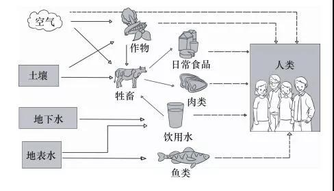 1635748378127004.jpg 9.jpg