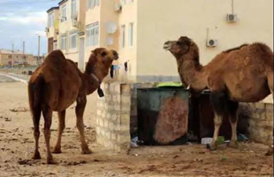 1635748465758382.jpg 6_副本.jpg