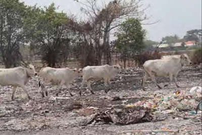 1635748547765688.jpg 11_副本.jpg