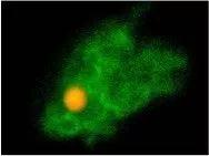 1635988309959335.jpg 17.jpg