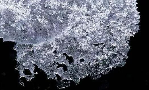 1637546667850894.jpg 56.jpg