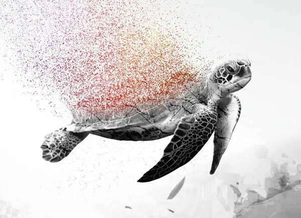 1637646258425411.jpg 2_副本.jpg