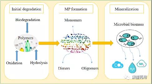 1637646275325995.jpg 3.jpg