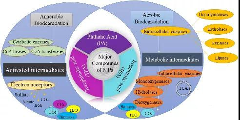 1637646314299151.jpg 4_副本.jpg