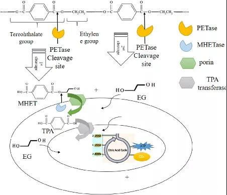 1637646343881051.jpg 5_副本.jpg