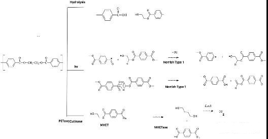 1637646372971267.jpg 6_副本.jpg