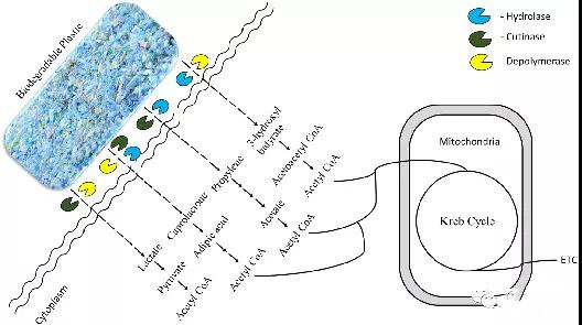 1637646410719287.jpg 7_副本.jpg