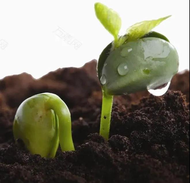 1637716972418501.jpg 24.jpg