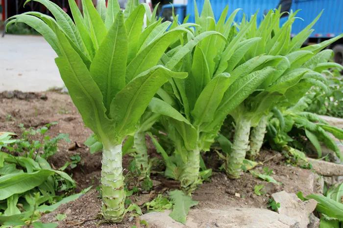 1637716985710437.jpg 25.jpg