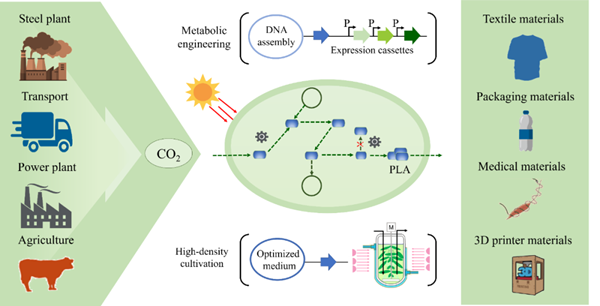 1650333319175256.png 10_副本.png