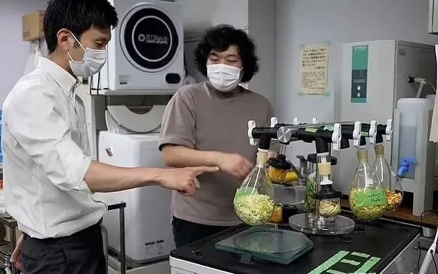 1656471481763917.jpg 15.jpg