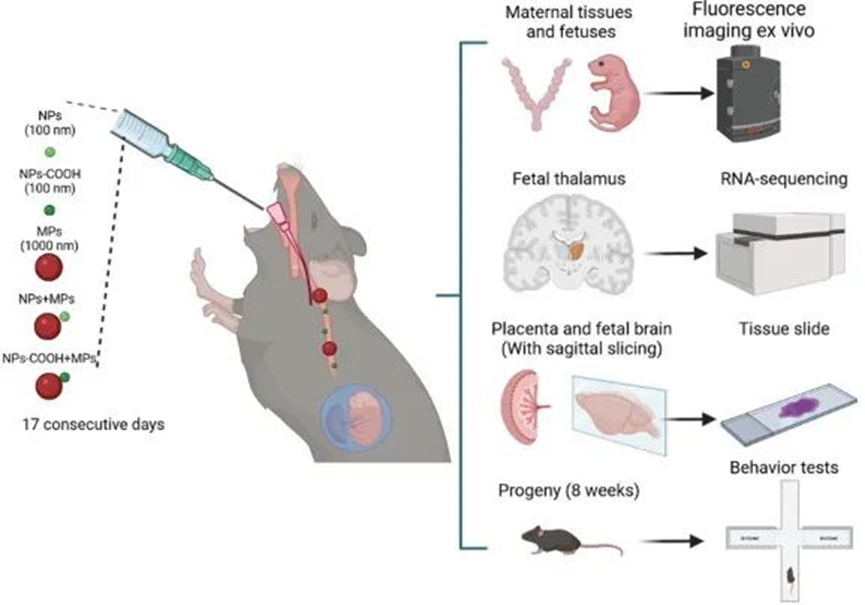 1658282373484858.png 63.png