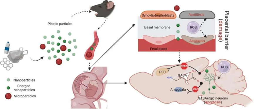 1658282397945533.png 64.png