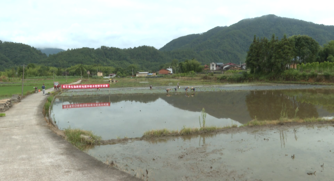 1660181310683632.png 18.png