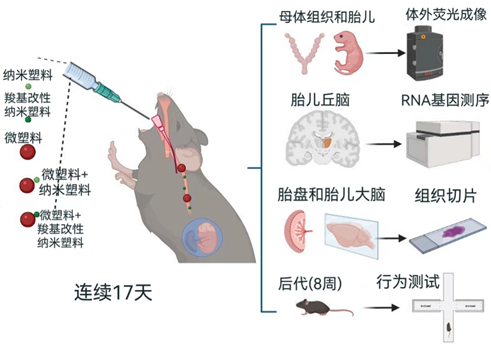 1660699869950482.png 37.png