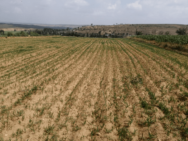 1661565373181187.png 65.png