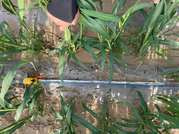 1661565422604482.png 67.png