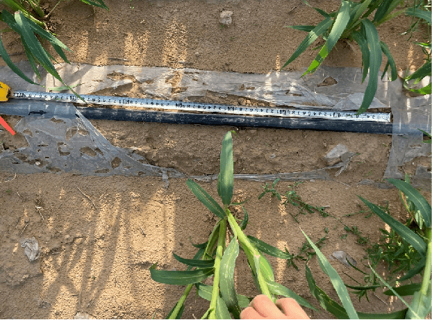 1661565441896915.png 68.png