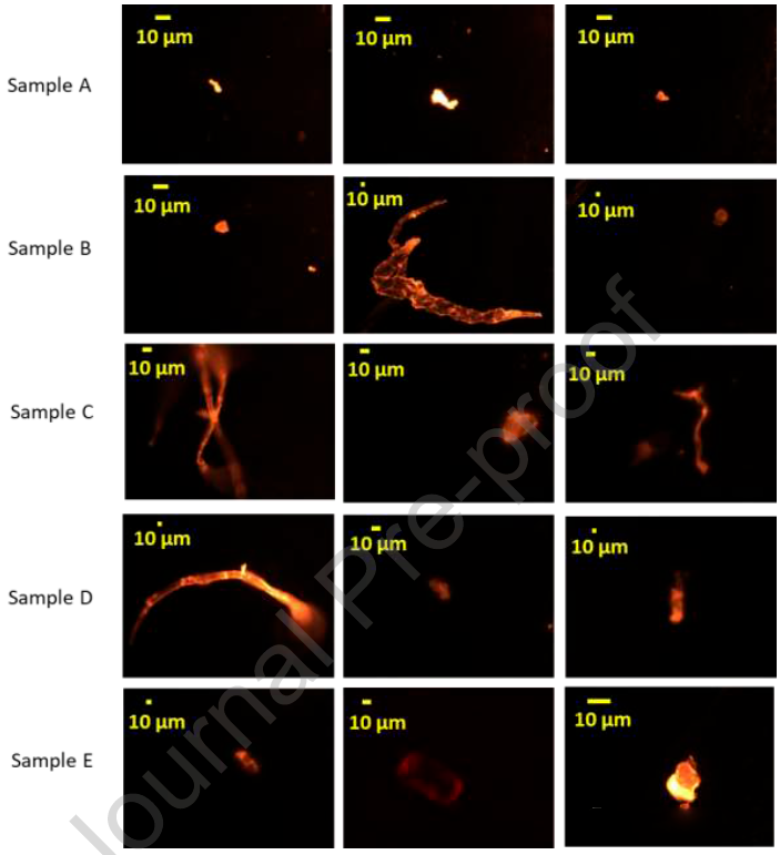 1669686843286371.png 04.png