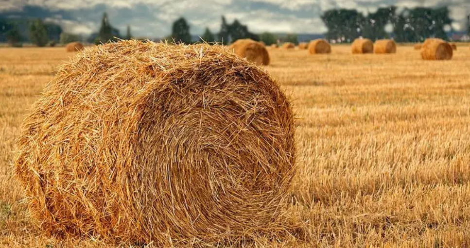 1679972496760129.png 07.png