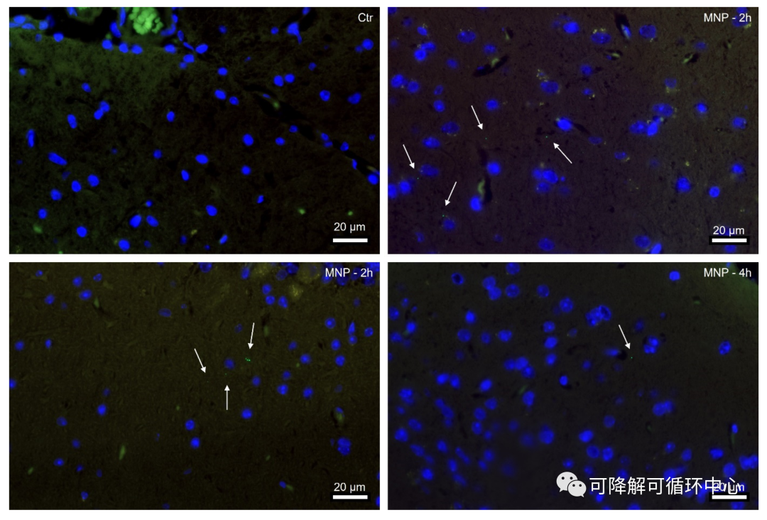 1683248922248930.png 02.png