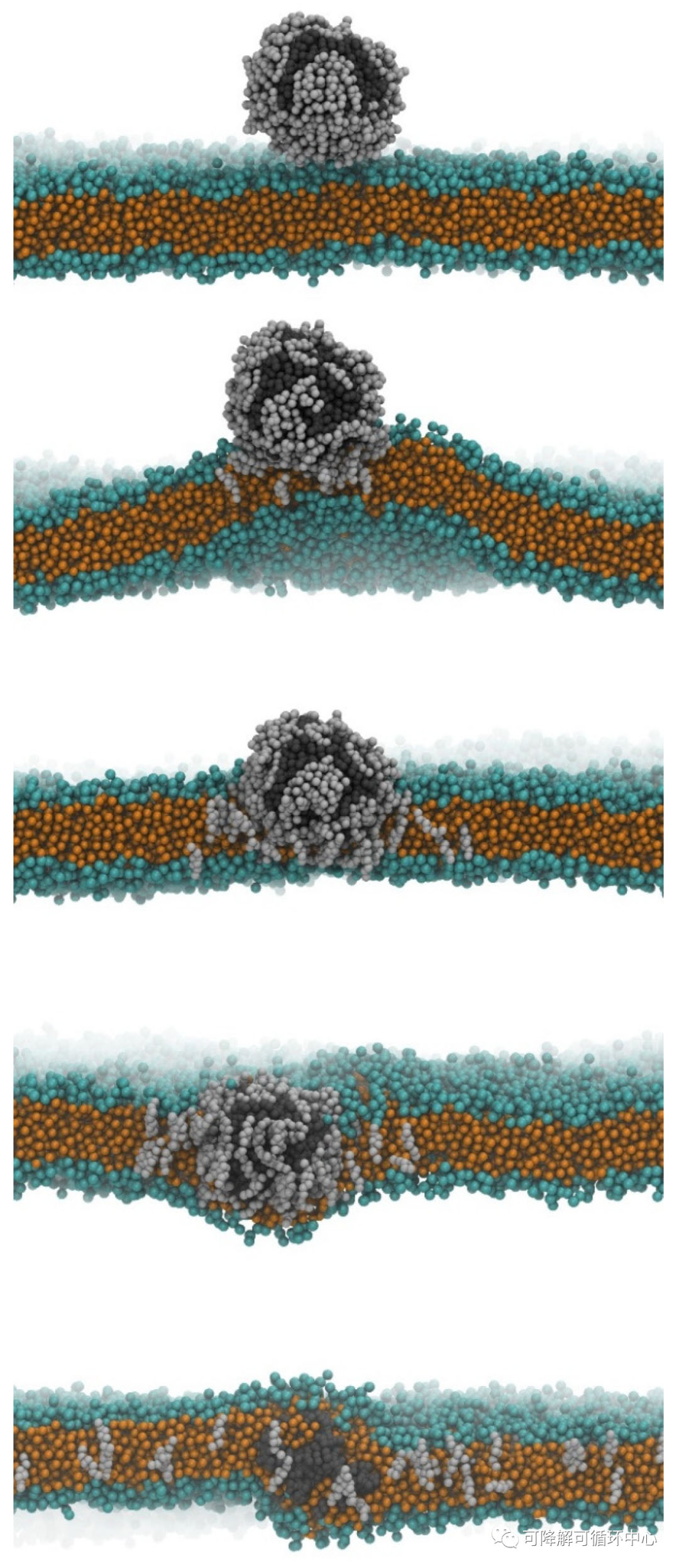 1683249034176133.jpg 03.jpg