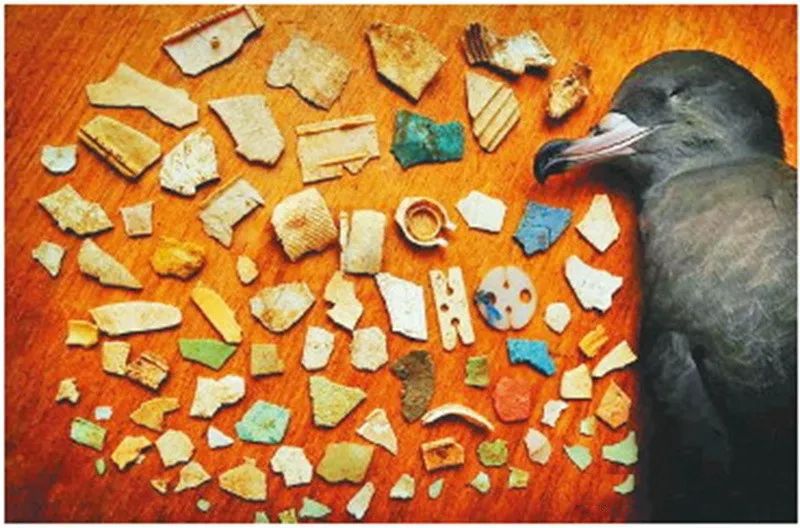 1686034087619105.jpg 02.jpg