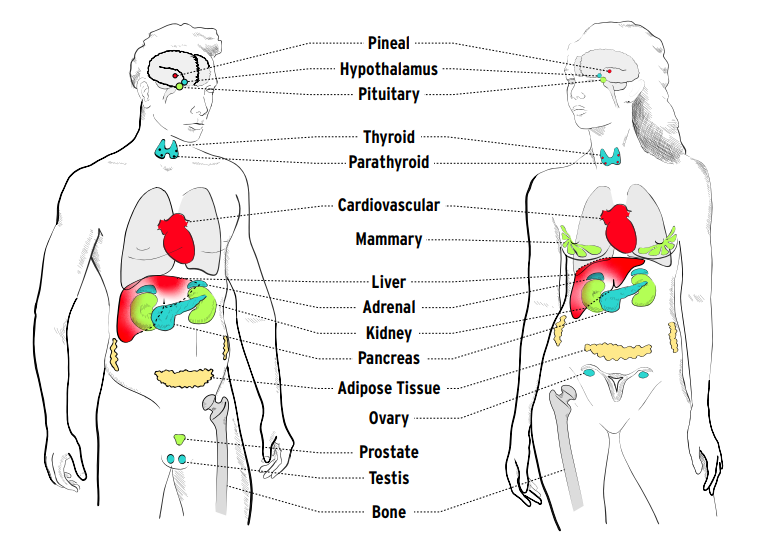 1692759771526973.png 05.png