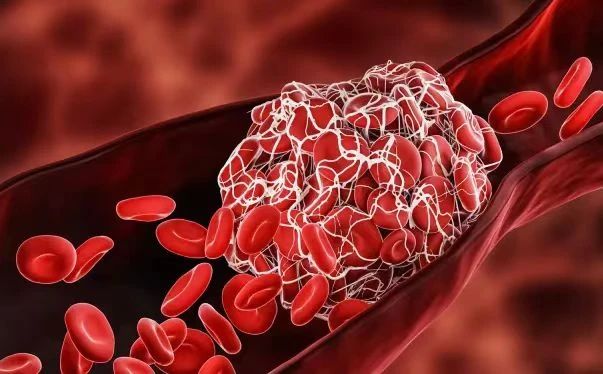 1692760250577249.jpg 16.jpg