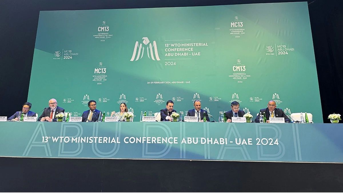 1709261448975805.jpg 01.jpg