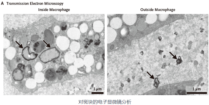 1710224314178140.jpg 微信图片_20240312141041.jpg
