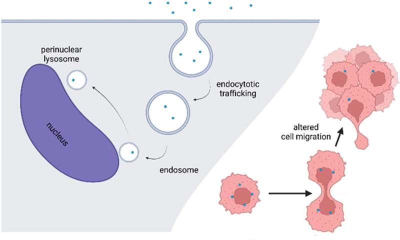 1710400377838128.jpg 微信图片_20240314150834.jpg