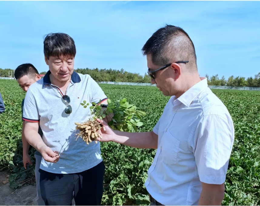 1724741312495615.jpg 01.jpg