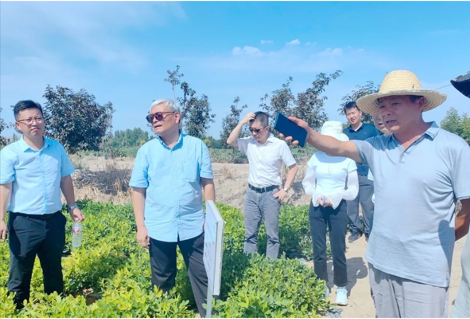 1724741350938893.png 03.png