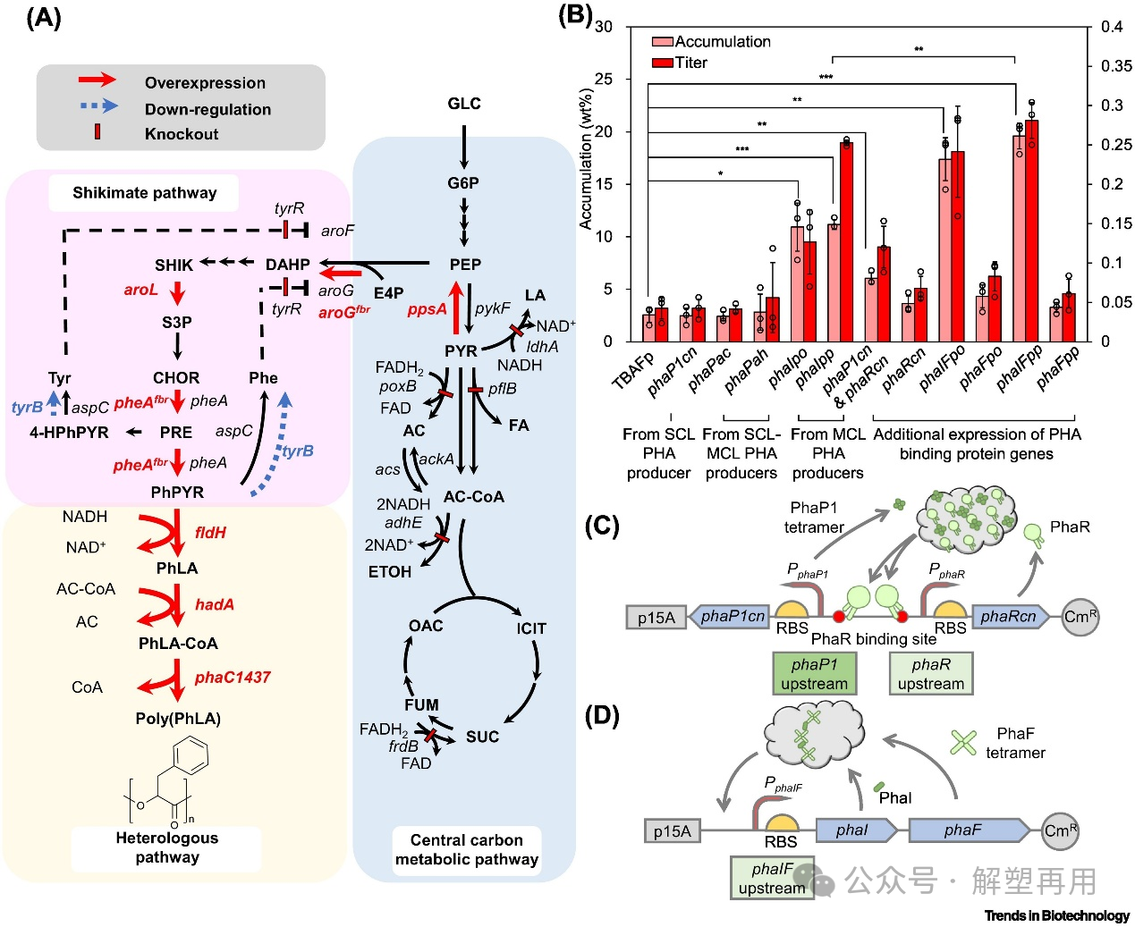 1725248190409087.png 02.png