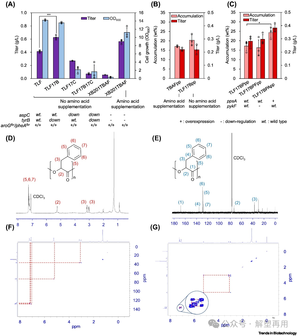 1725248199611235.png 03.png